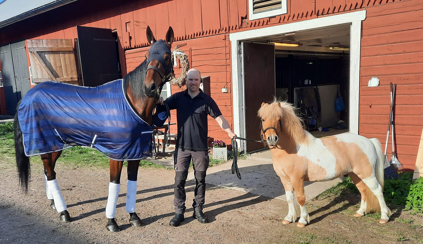 OS-horses-stable